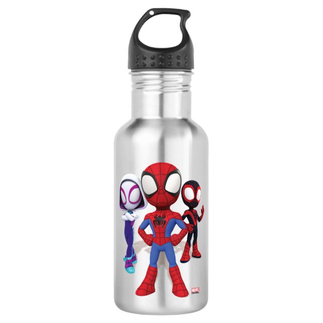 Spidey Team In Town Stainless Steel Water Bottle (Front)