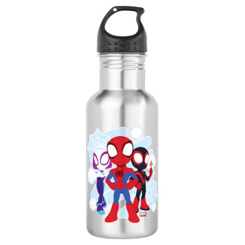 Spidey Team Web Graphic Stainless Steel Water Bottle