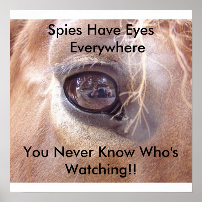 Spies Eyes Poster (Front)