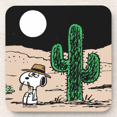 Spike in a Moonlit Desert Beverage Coaster