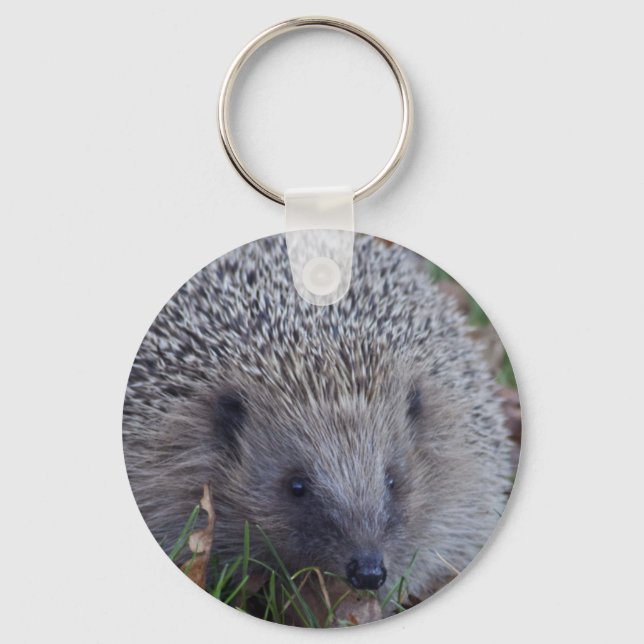 Spike Keyring (Front)