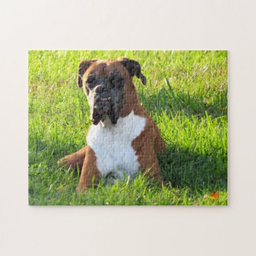 Spike the Boxer Dog _ Puzzle