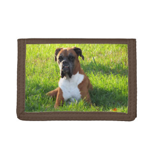 Spike the Boxer Dog - TriFold Wallet