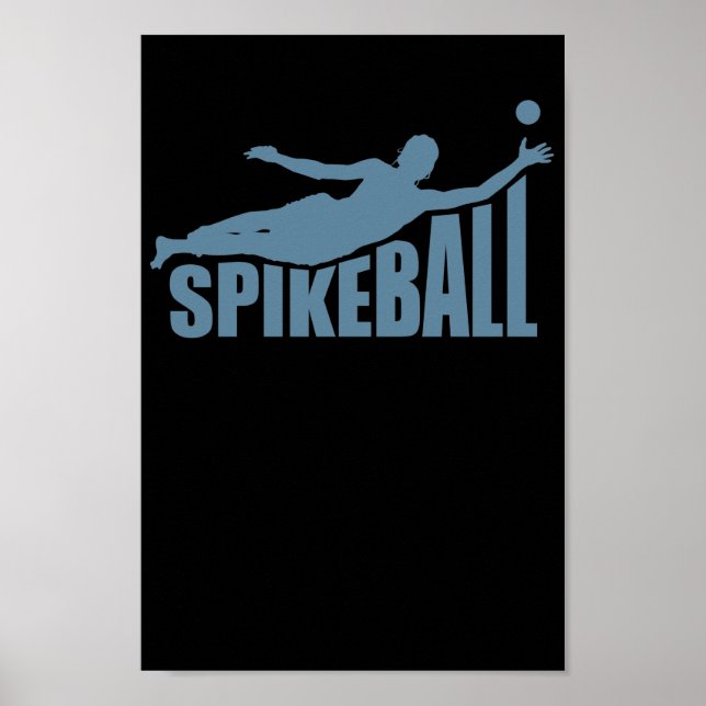 Spikeball Ballsport Leisure Roundball Poster (Front)