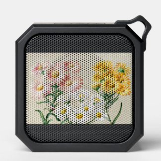 spiker bluetooth speaker