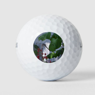 Spiketail dragonfly golf balls
