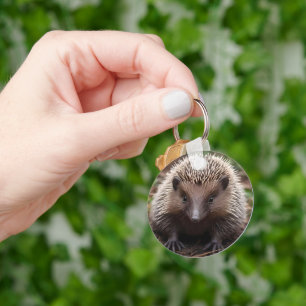 **"Spiky Beginnings: The Adorable Baby Echidna"** Keychain