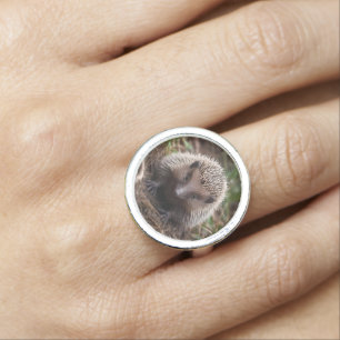 **"Spiky Beginnings: The Adorable Baby Echidna"** Ring