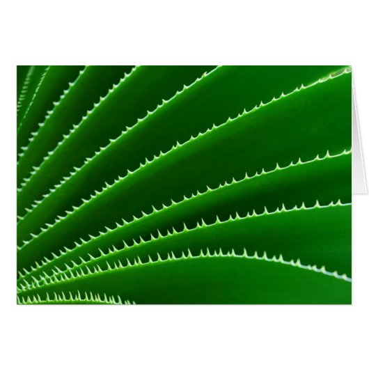 Spiky Green Leaf Pattern Cards (Front Horizontal)