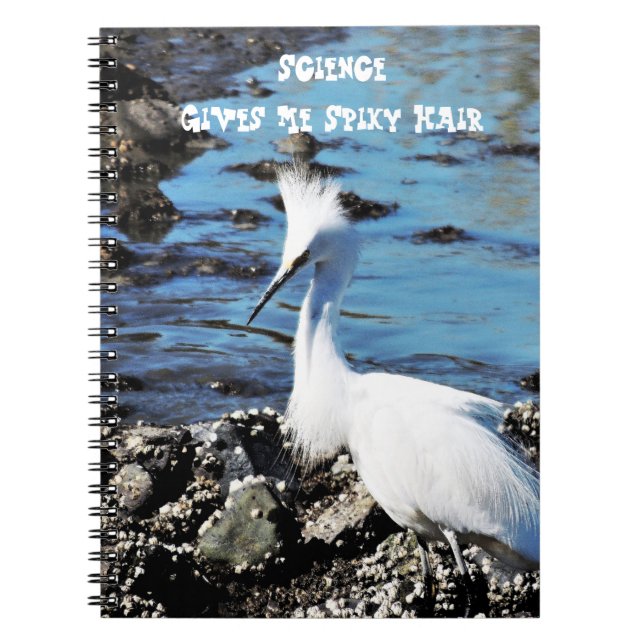 Spiky Hair Bird Photo Notebook (Front)