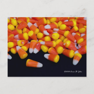 Spilled Candy Corn Postcard