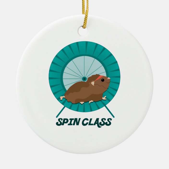 Guinea Pig Image Design Spinning Keyring in Gift Box