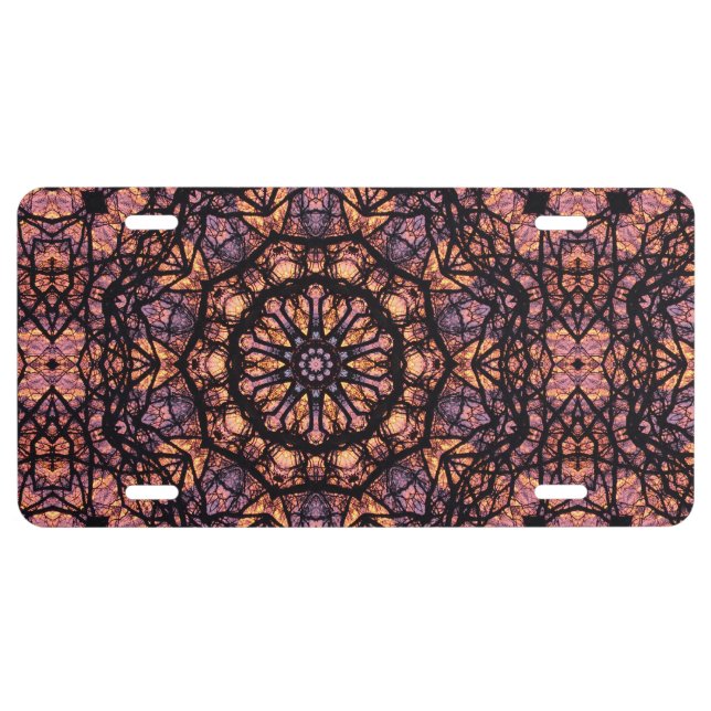 Spin License Plate (Front)