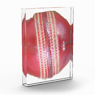 Spin Master's Sphere: A Fun Left Spin Cricket Ball Acrylic Award