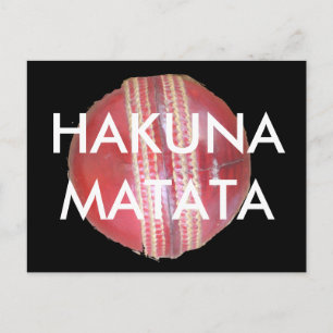 Spin Master's Sphere: A Fun Left Spin Cricket Ball Postcard