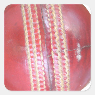 Spin Master's Sphere: A Fun Left Spin Cricket Ball Square Sticker