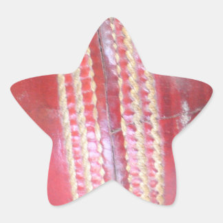 Spin Master's Sphere: A Fun Left Spin Cricket Ball Star Sticker