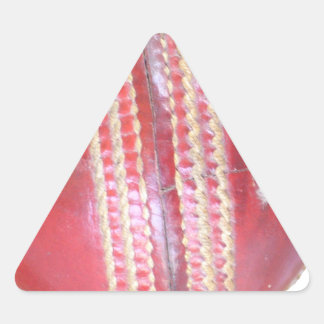 Spin Master's Sphere: A Fun Left Spin Cricket Ball Triangle Sticker