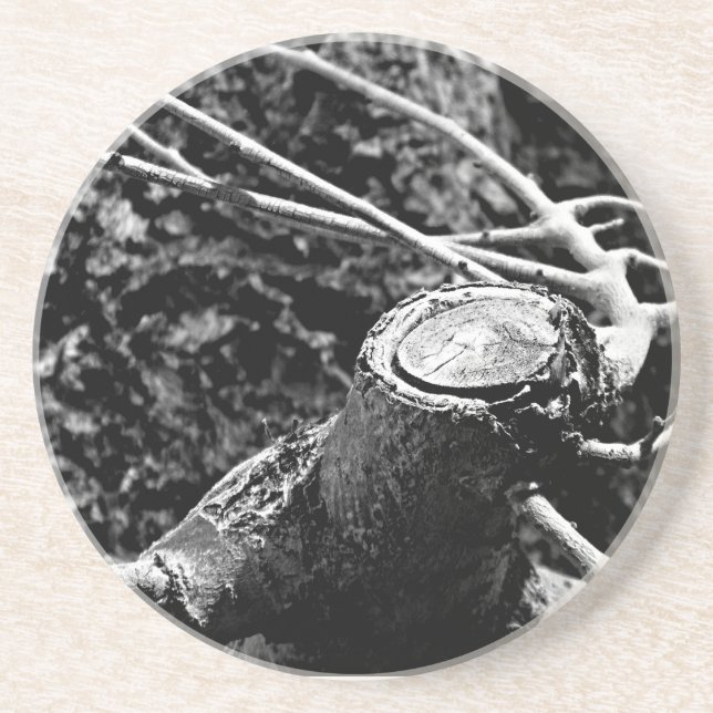 spin me around tree coaster (Front)