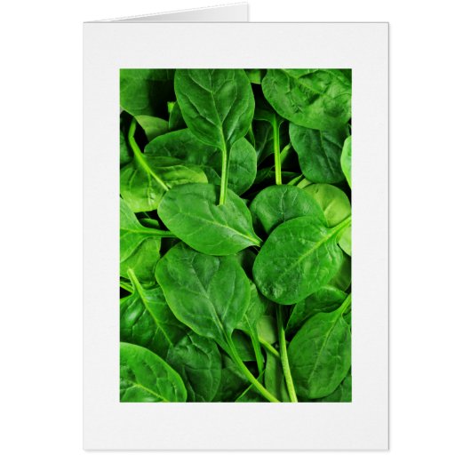 Spinach (Front)