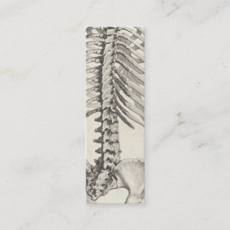 Spinal business card