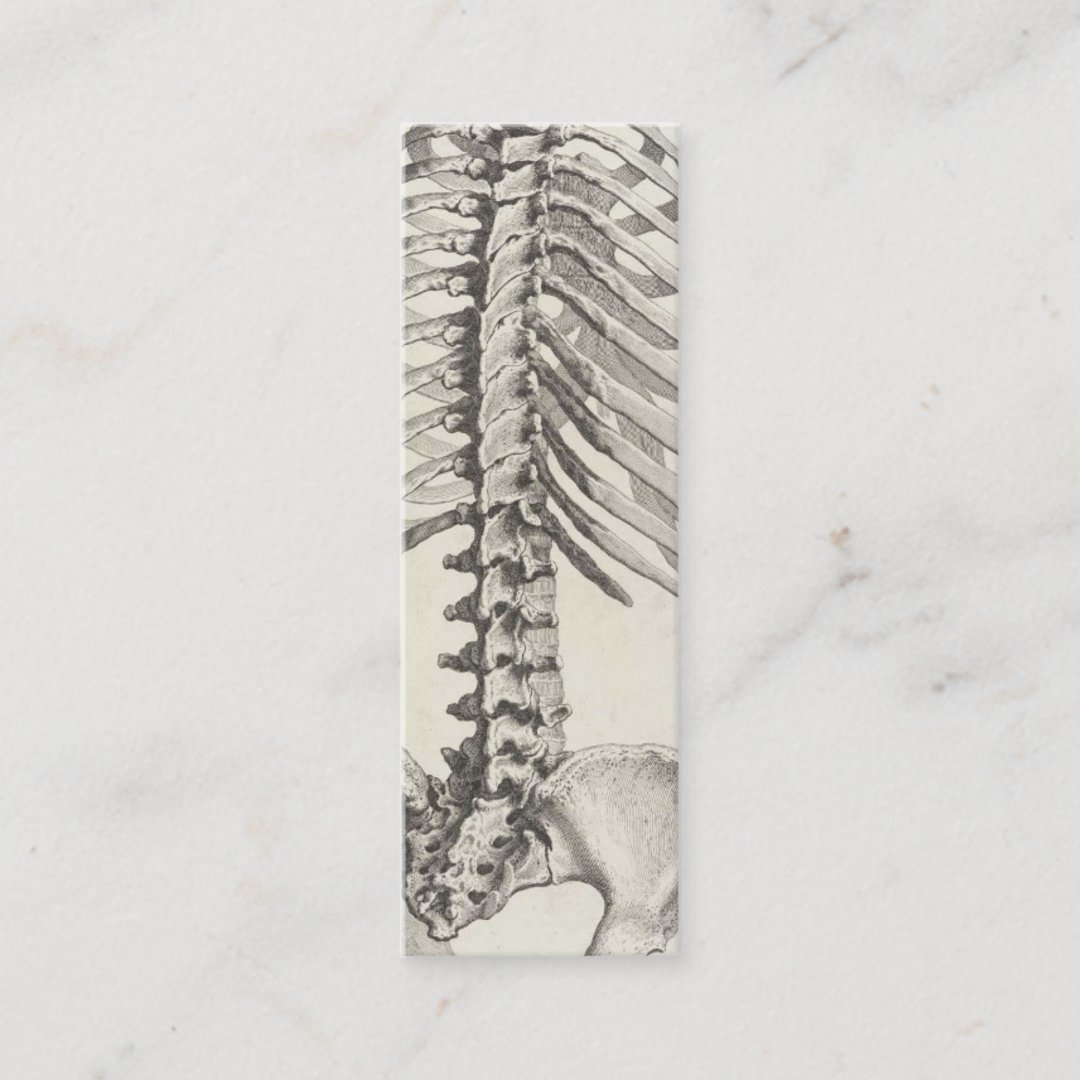 Spinal business card Zazzle