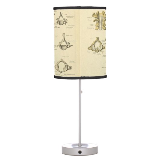 Spinal Column and Vertebrae Anatomy Table Lamp (Back)