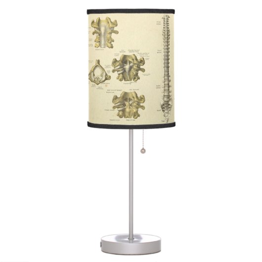 Spinal Column and Vertebrae Anatomy Table Lamp (Left)