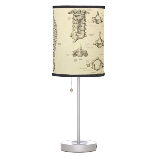 Spinal Column and Vertebrae Anatomy Table Lamp (Right)
