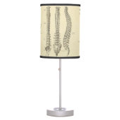 Spinal Column and Vertebrae Anatomy Table Lamp (Front)