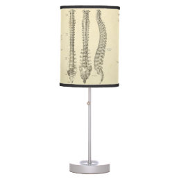 Spinal Column and Vertebrae Anatomy Table Lamp