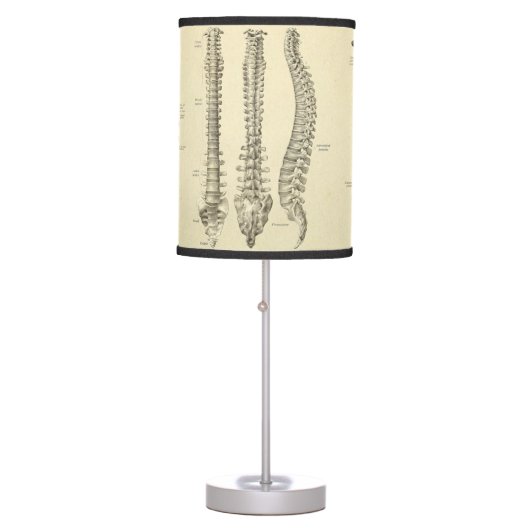 Spinal Column and Vertebrae Anatomy Table Lamp (Front)