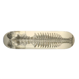 Spinal Column Skateboard Deck