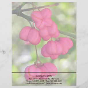 Spindle berries pink letterhead