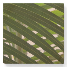Spindle Palm Stone Coaster