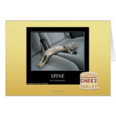 Spine (Front Horizontal)