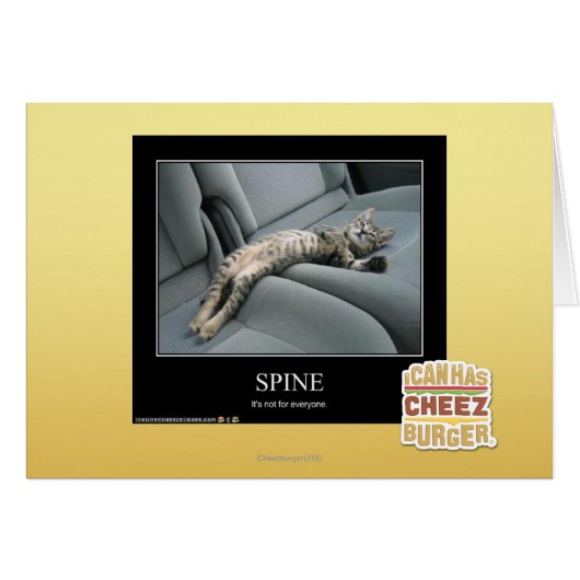 Spine (Front Horizontal)