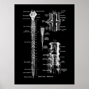 Spine Anatomy Medical Wall Decor