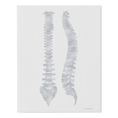 Spine Art Chiropractic Sign Chiropractic Art  Faux Canvas Print