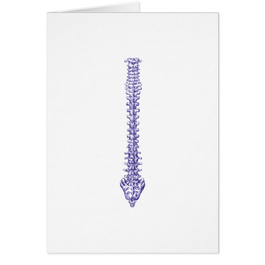 Spine Blue Cards (Front)
