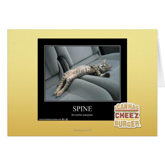 Spine Cards (Front Horizontal)