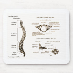 Spine Details Sepia Mouse Pad