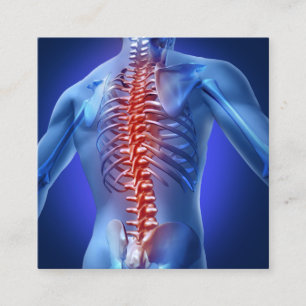 Spine Graphic Square Chiropractor Business Card