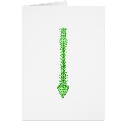 Spine Green Cards (Front)