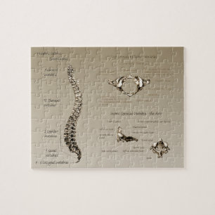 Spine Jigsaw Puzzle