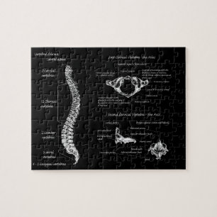 Spine Jigsaw Puzzle