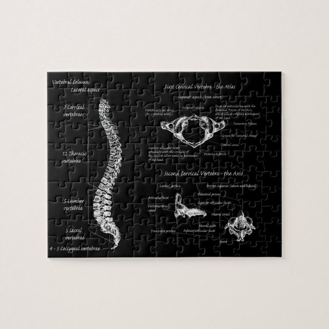 Spine Jigsaw Puzzle (Horizontal)