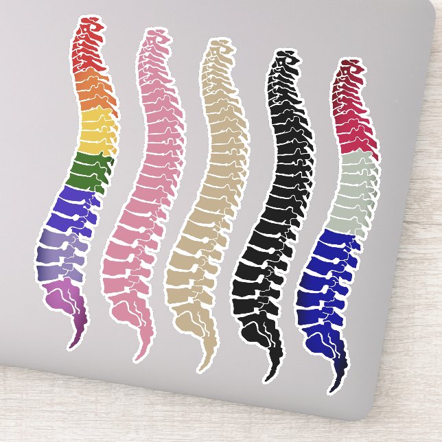 Spine laptop decals, spine stickers, chiropractic sticker (Detail)