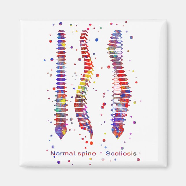 Spine Magnet (Front)