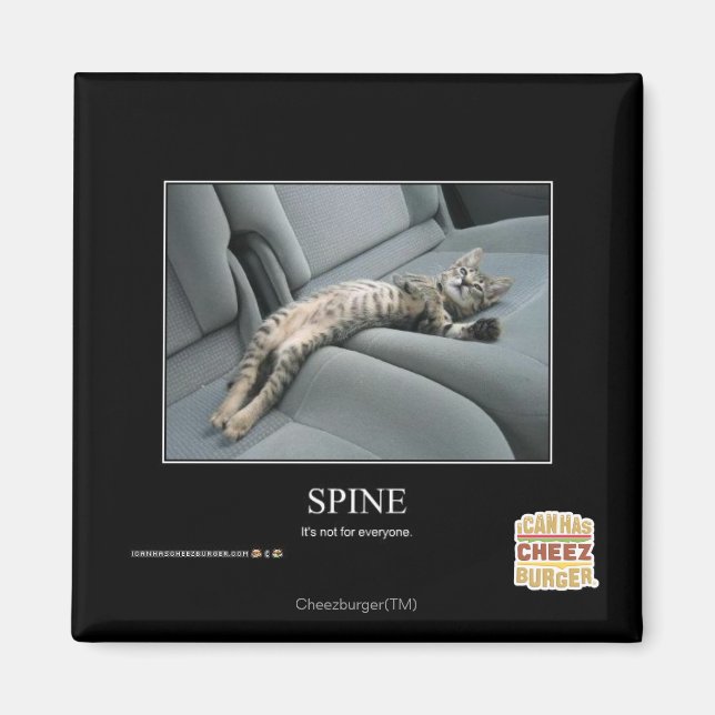 Spine Magnet (Front)